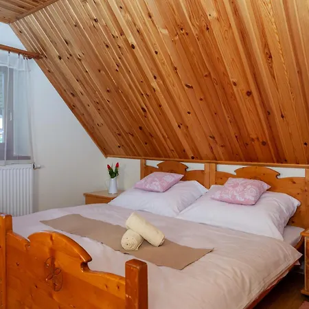 Dovolenkovy Dom Javor 펜션