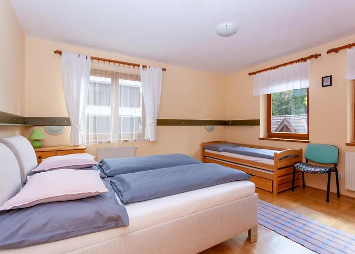 Dovolenkovy Dom Javor *